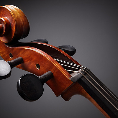 PKF-concert-violin-head-detail-dark background_shutterstock_373039240